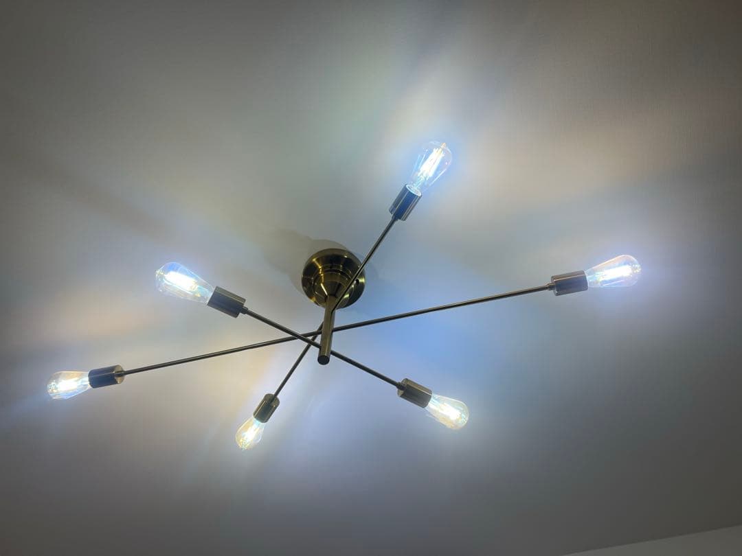 unico 別注 Astre 照明 ゴールド 6灯シーリングライト アストル