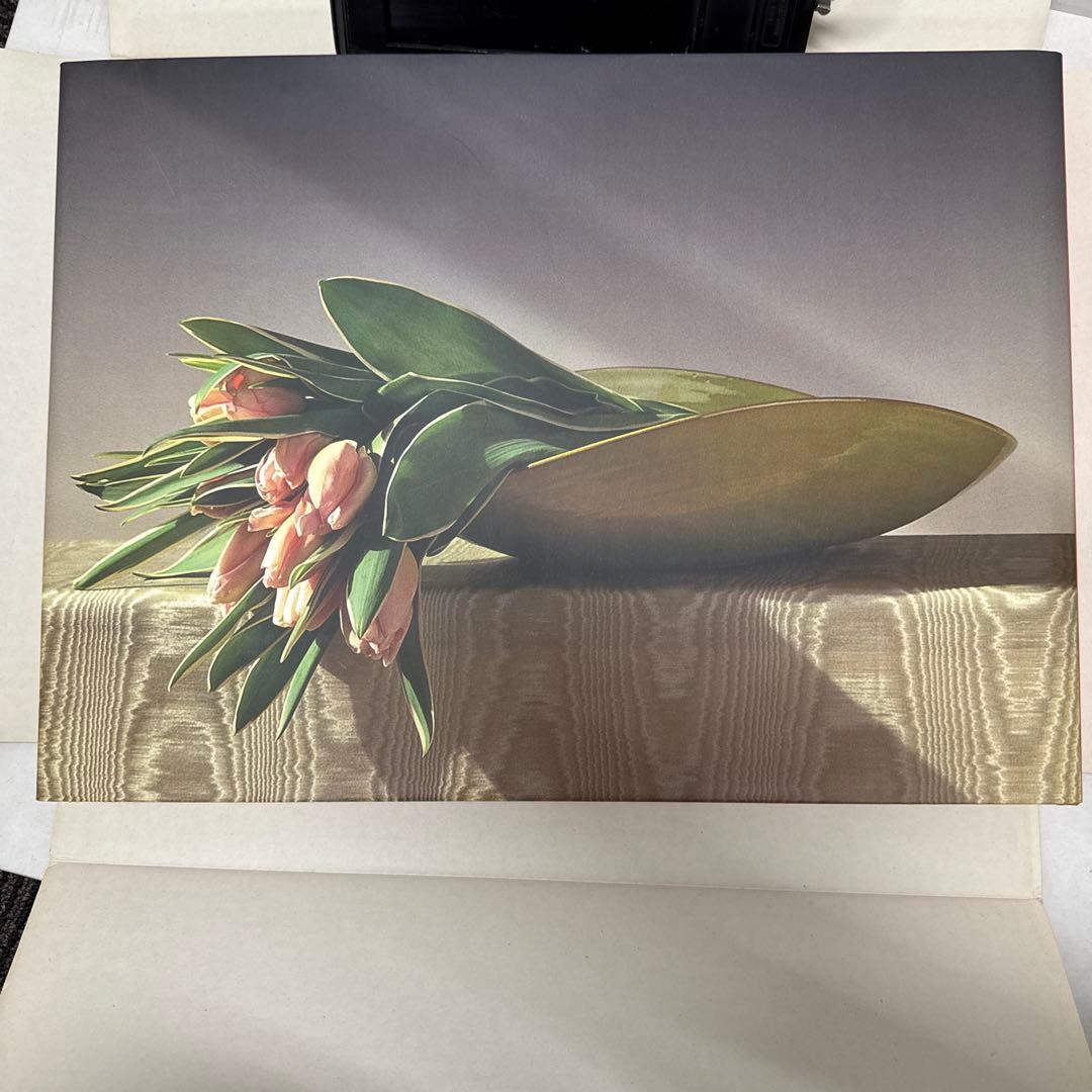 ロバート・メイプルソープ　フラワーズ