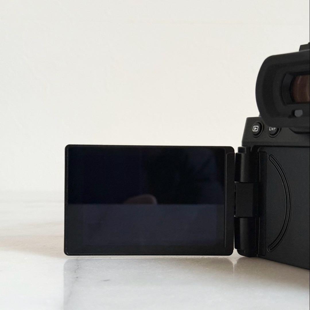 Panasonic LUMIX S5 ボディ フルサイズミラーレス 付属品完備