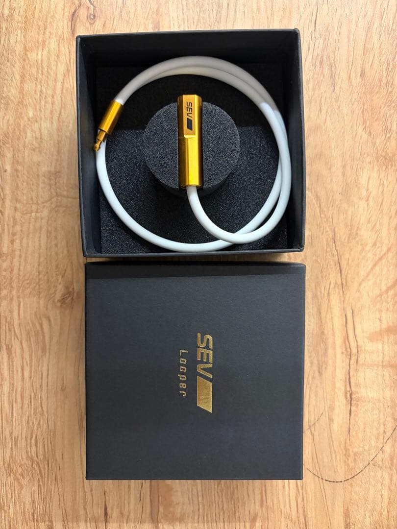 SEV ルーパー type G サイズ46