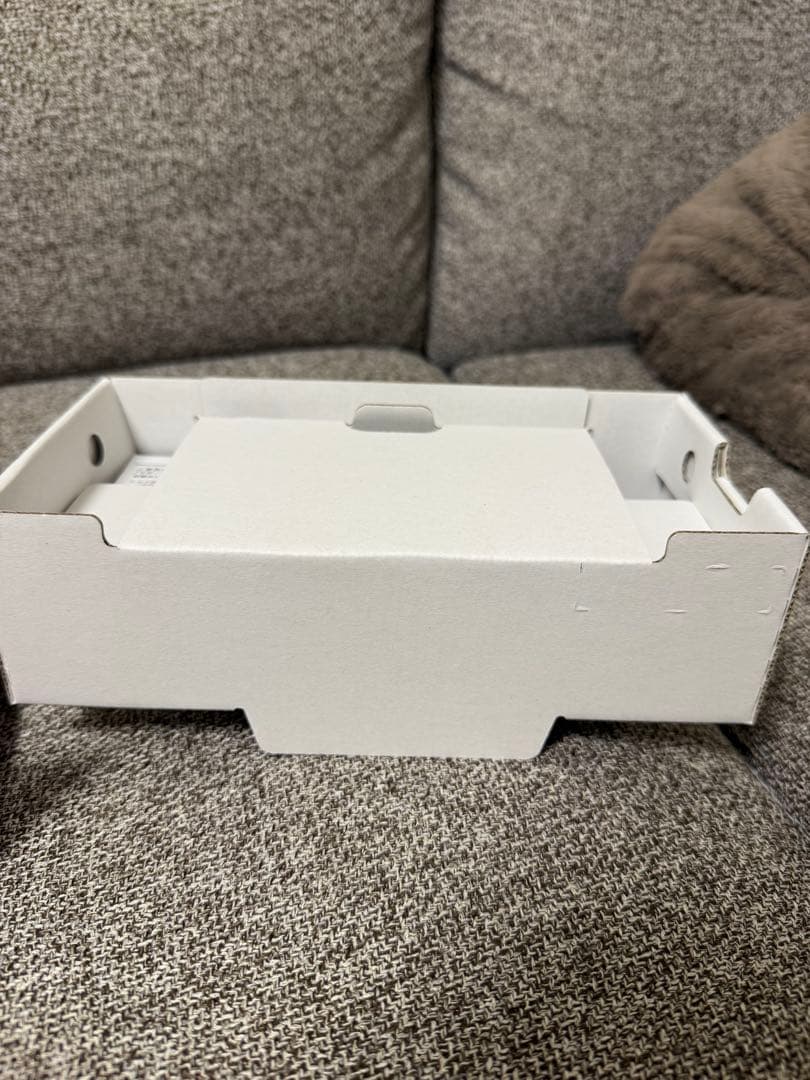 Nintendo Switch Lite ピンク 本体【箱付き】