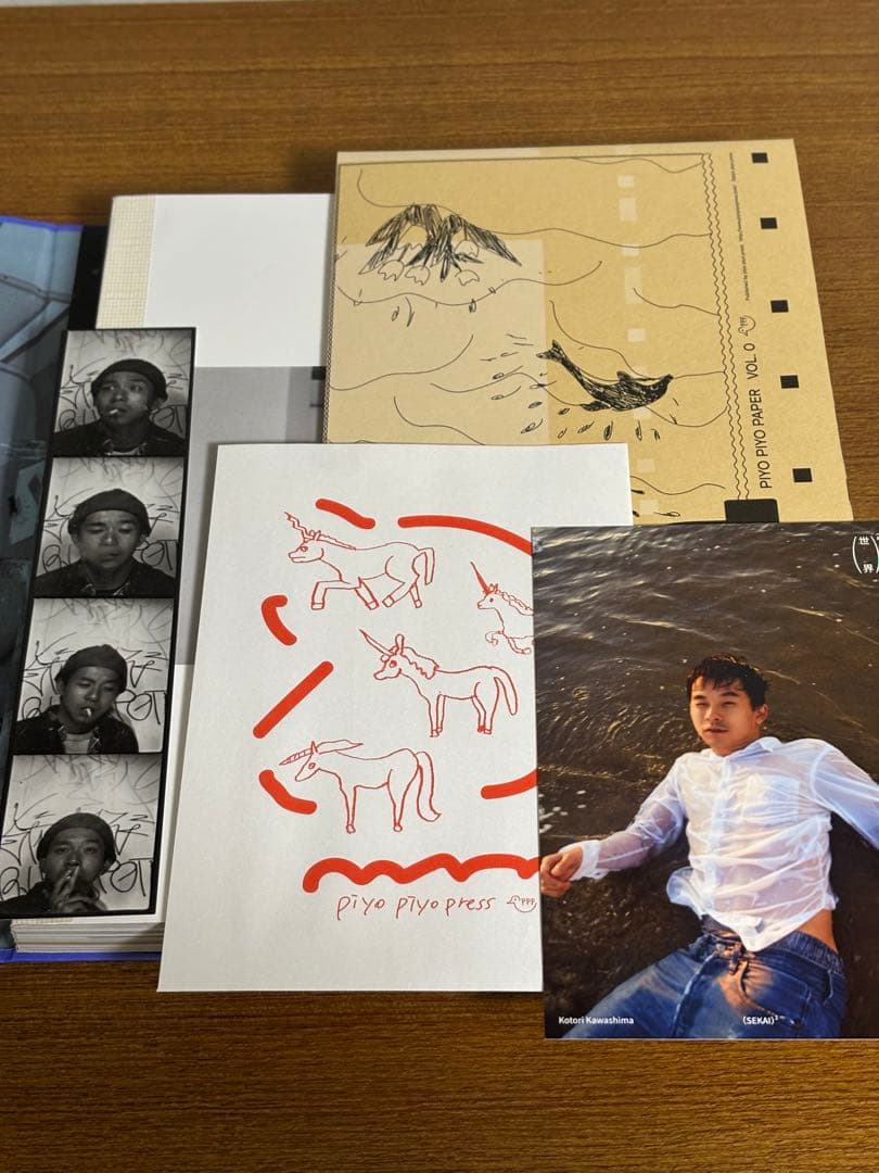 【美品】ポストカード他3点付き 「(世界)2 」 仲野太賀 川島小鳥 写真集