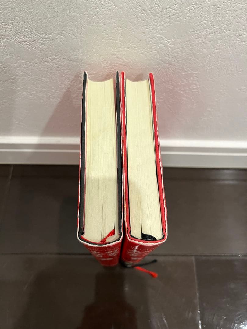 野蛮な来訪者上下セット