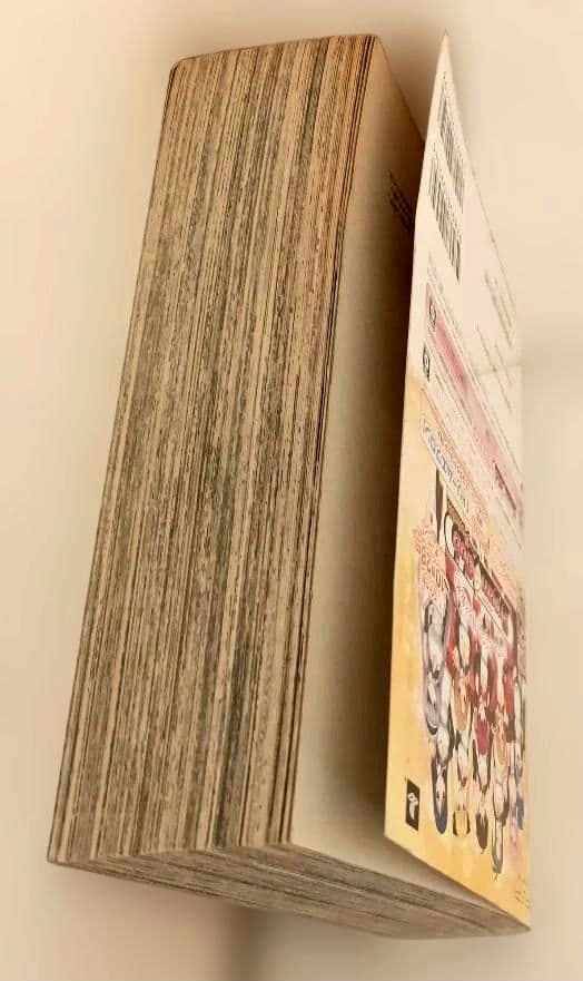 聖闘士星矢 白銀聖闘士編 戦え!女神のもとで 500ページ 650円