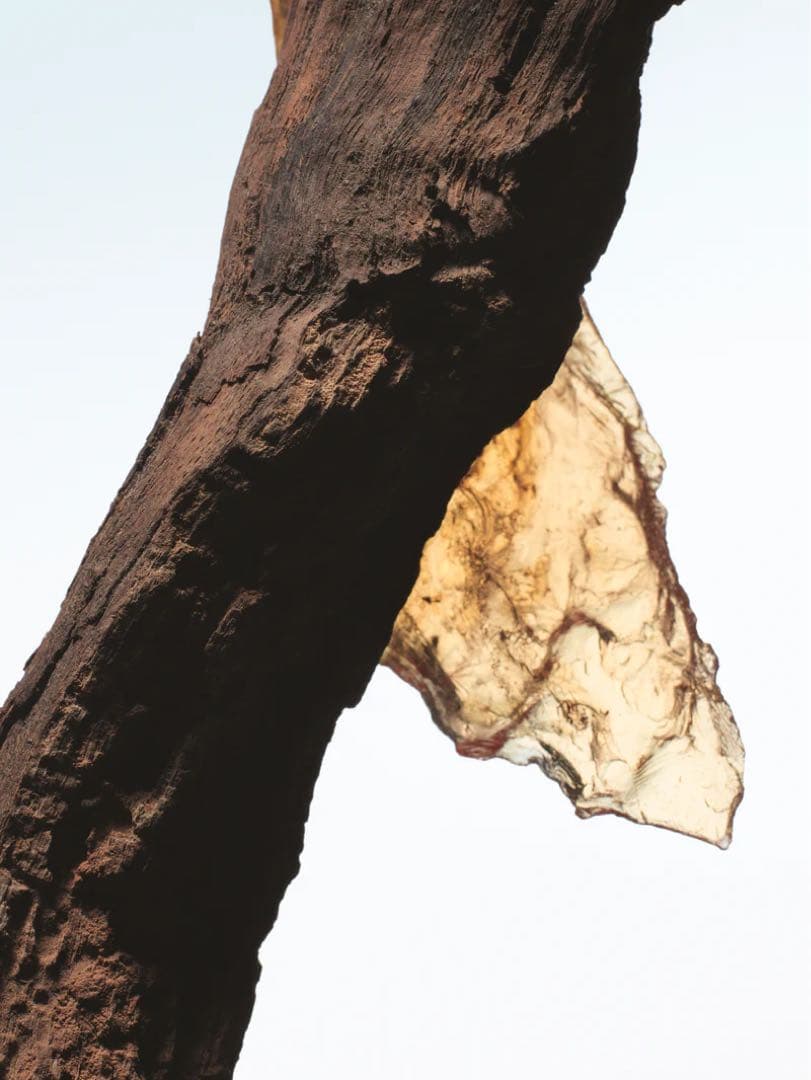 DRIES VAN NOTEN ロックザミルラ　香水　フルボトル　100ml