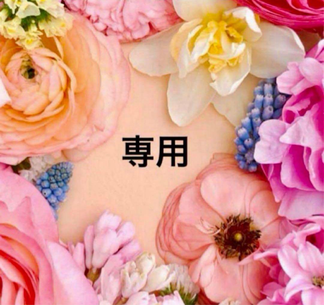 呪われ皇子と茶博士の娘 おまとめ専用①