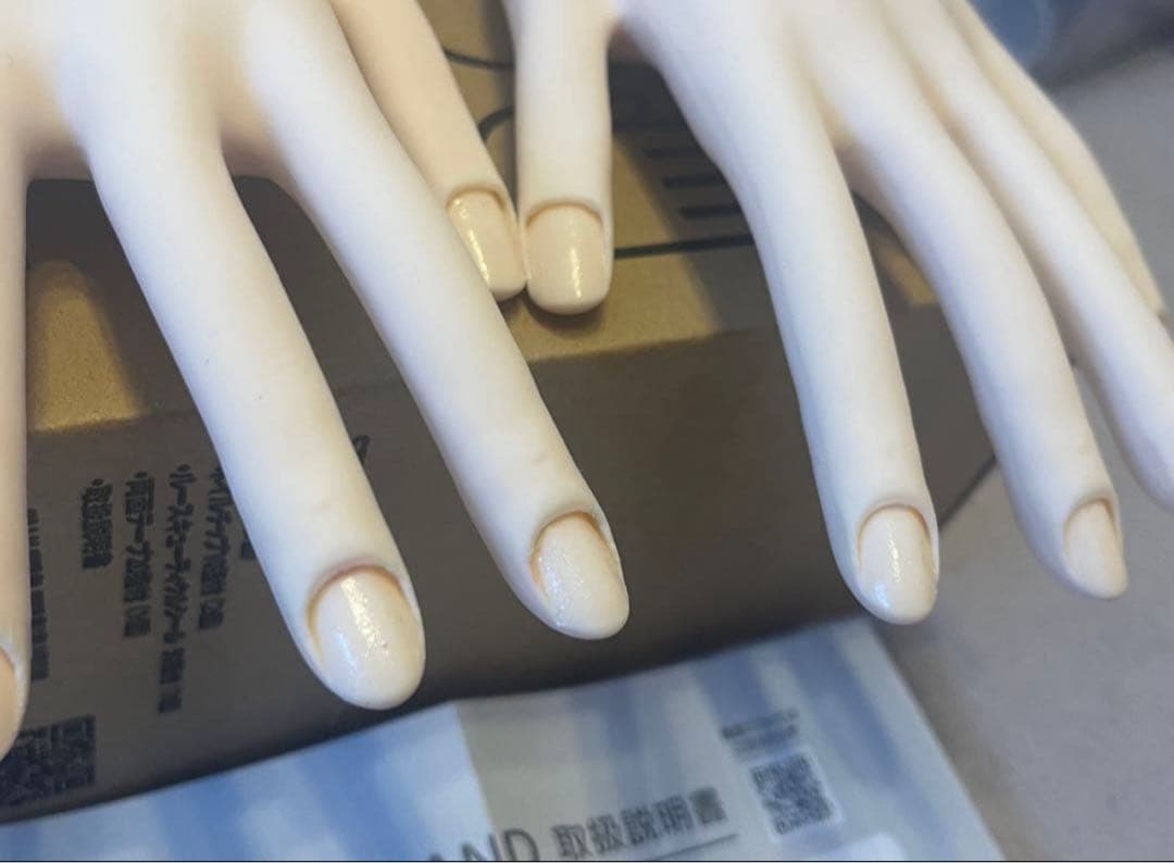 ネイリスト技能検定試験モデルハンド JNEC認定モデルハンド(両手)