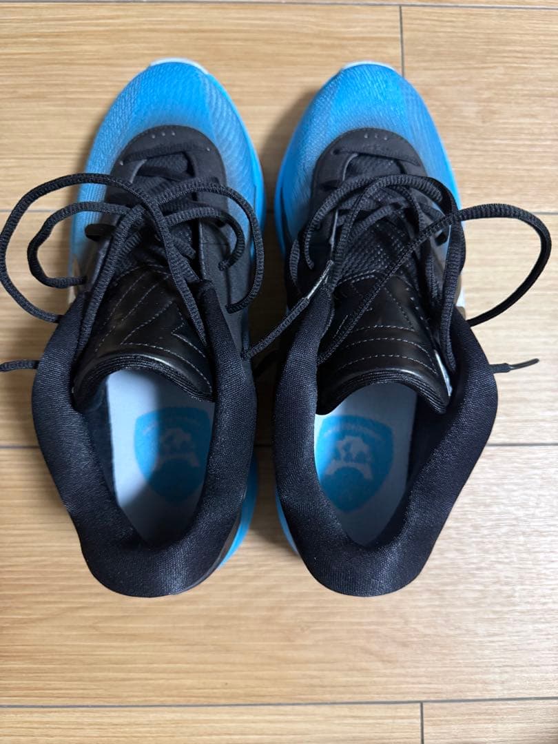 Nike Giannis freak 6 ナイキ フリーク6