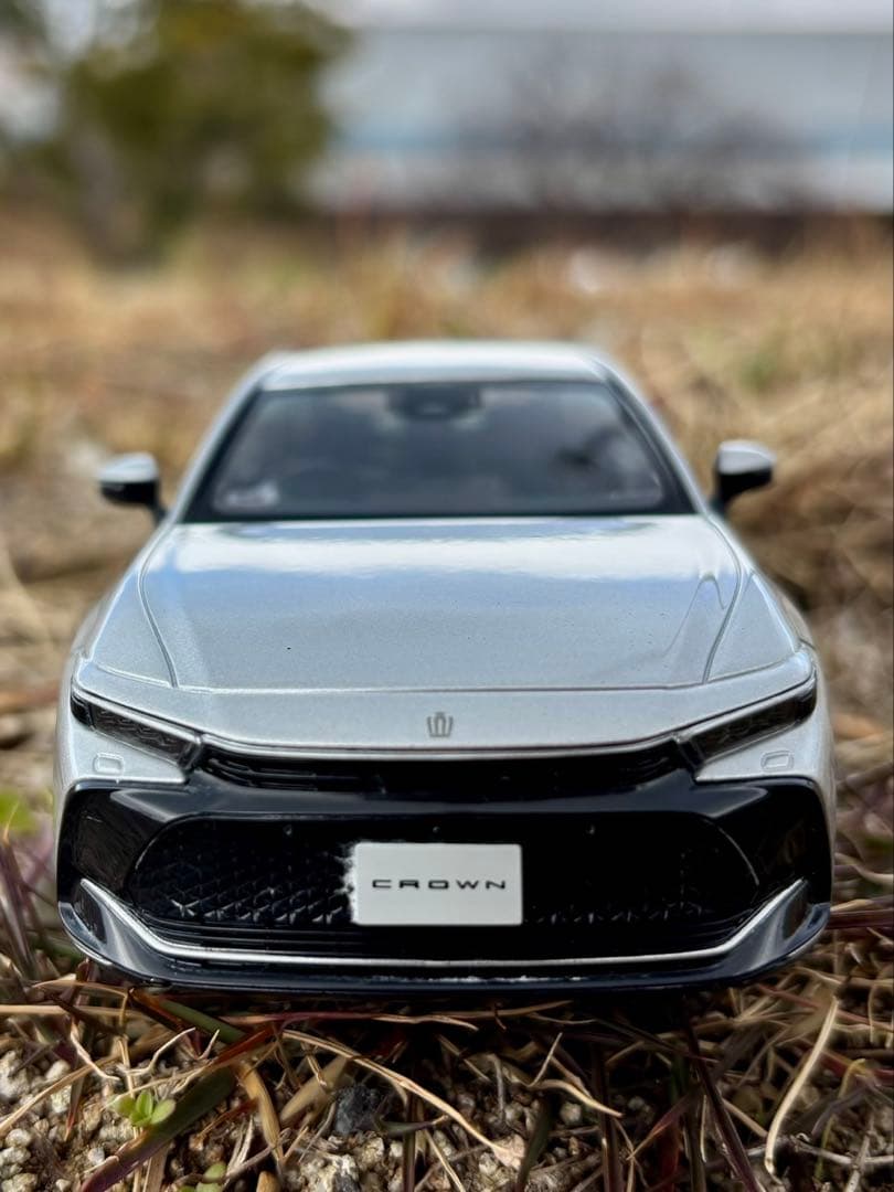 非売品　クラウン　カラーサンプル　2台セット