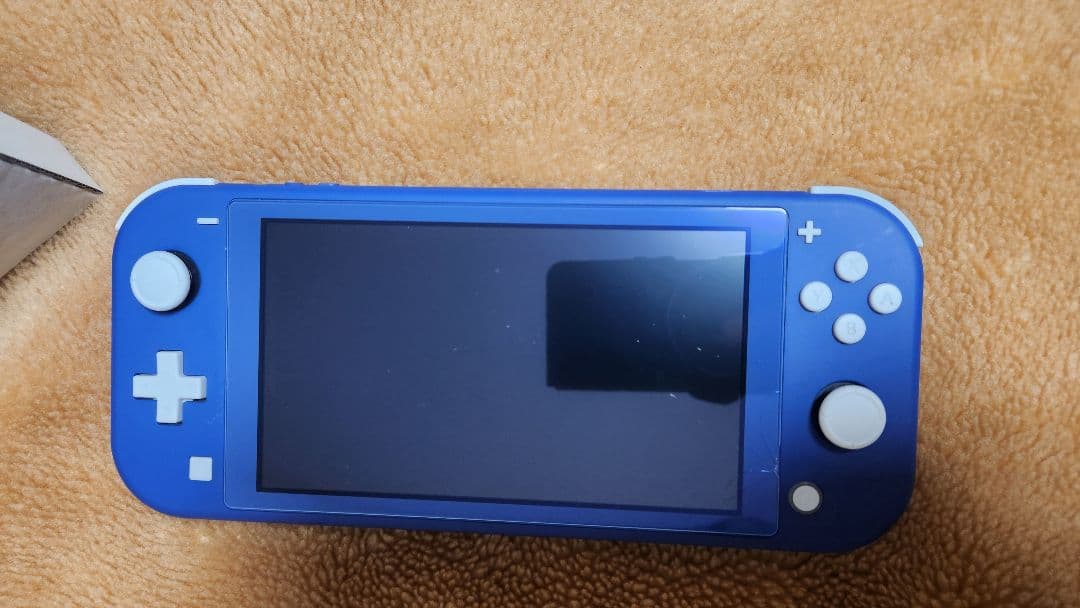 Nintendo Switch Lite SDカード、保護ガラス、キャリーケース
