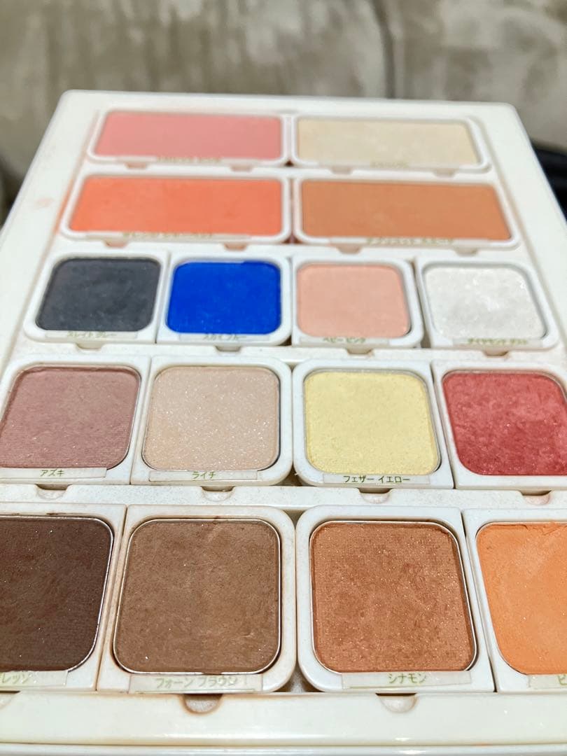 【NU SKIN アイシャドウ ブラッシュセット】15色+4色　パレット