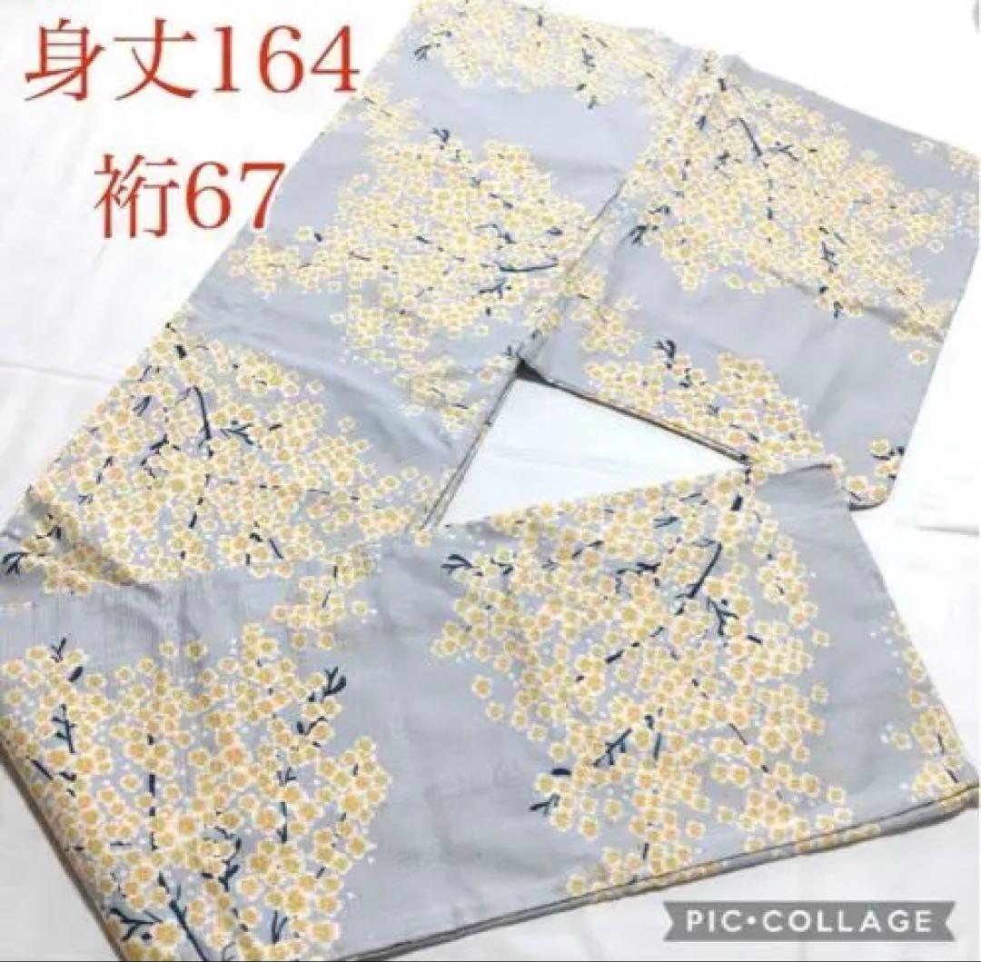 UTATANE♥福本莉子着♥咲きこぼれるミモザ♥浴衣、帯♥美品♥