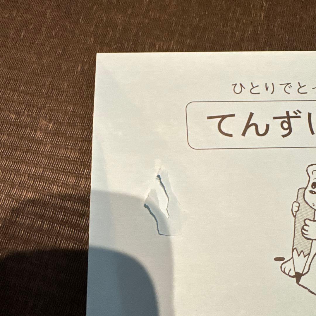 こぐま会ひとりでとっくん100冊ドームつみ木、こぐまつみ木、つみ木パズル付き