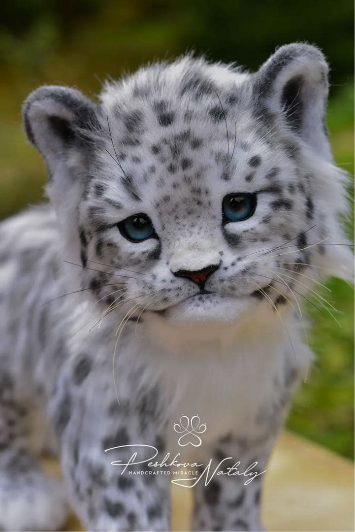 海外作家様作　アートドール　ユキヒョウの子供