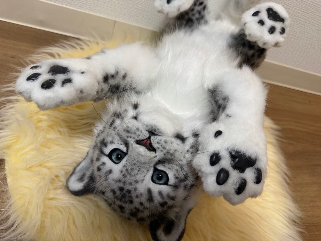 海外作家様作　アートドール　ユキヒョウの子供