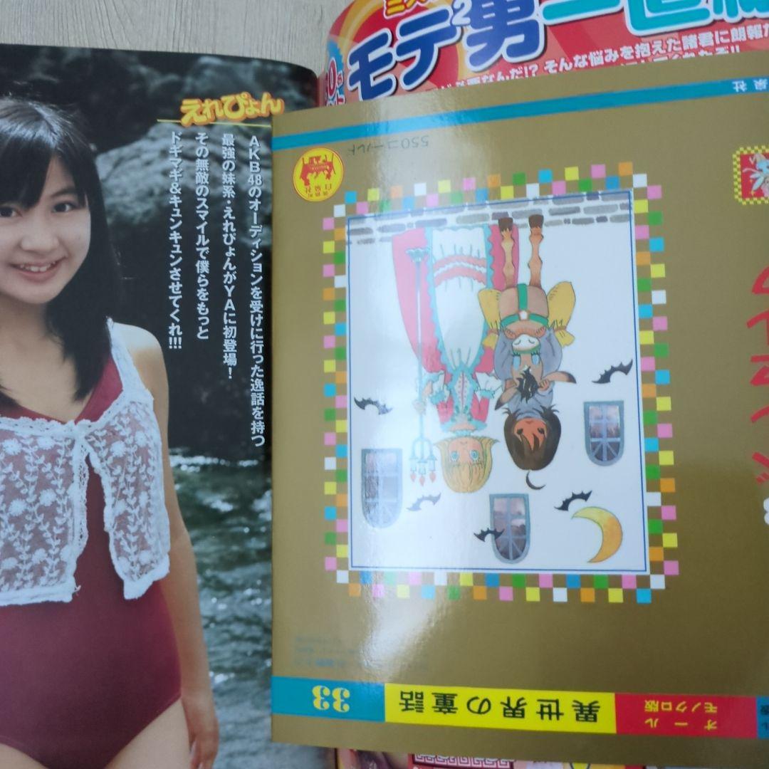 ヤングアニマル2008.11.14　ベルセルク特別カバー付録有り