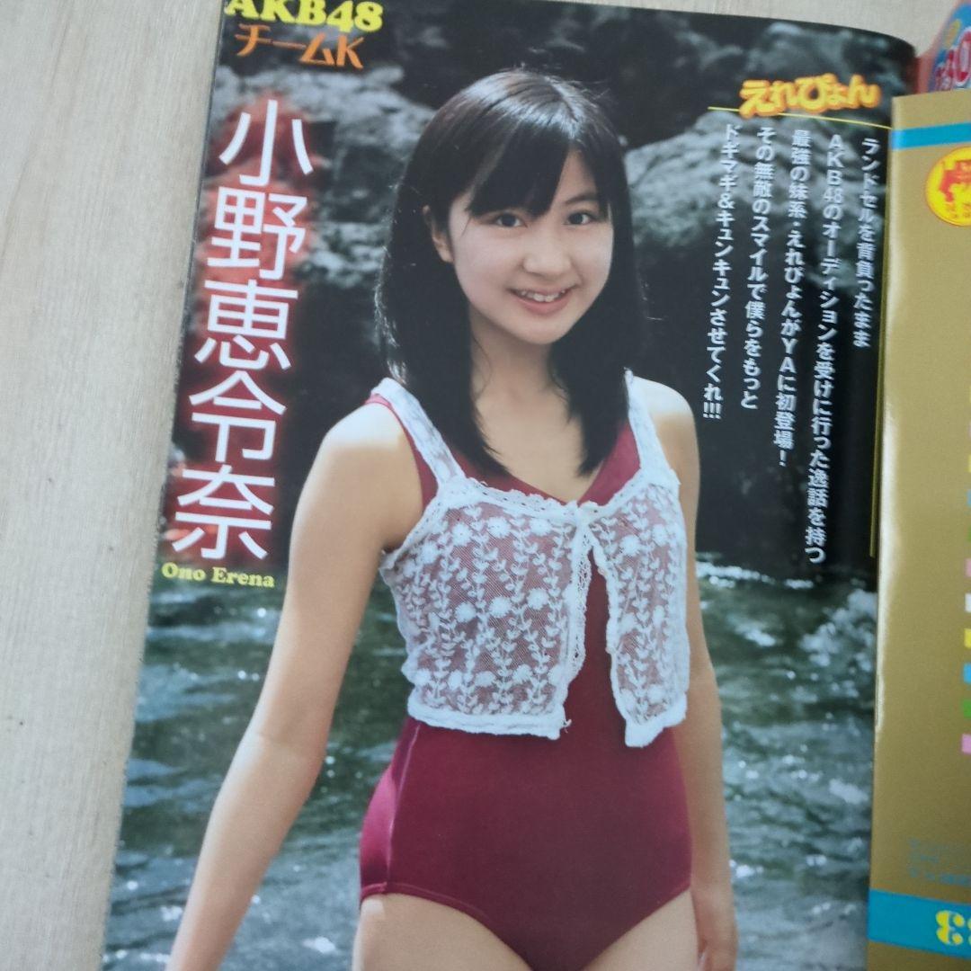 ヤングアニマル2008.11.14　ベルセルク特別カバー付録有り