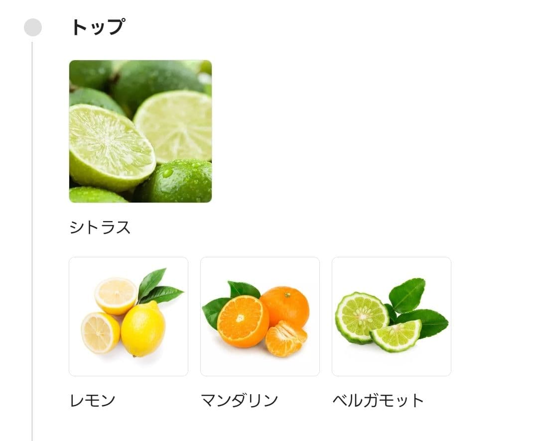 【秋冬】メゾンフランシス クルジャン アクアヴィタエフォルテオードパルファム70