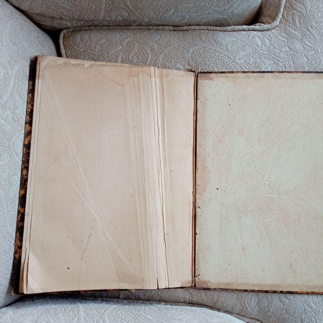 1831年　THE DEVIL'S WALK LANDSEER