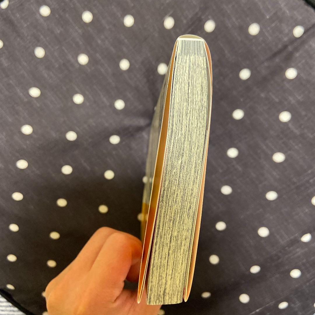 少年漫画 ONE PIECE 96