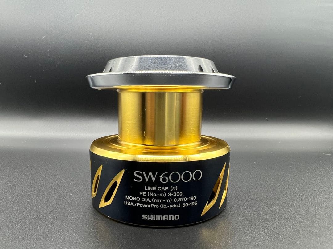 13 ステラ SW6000 スプール単体