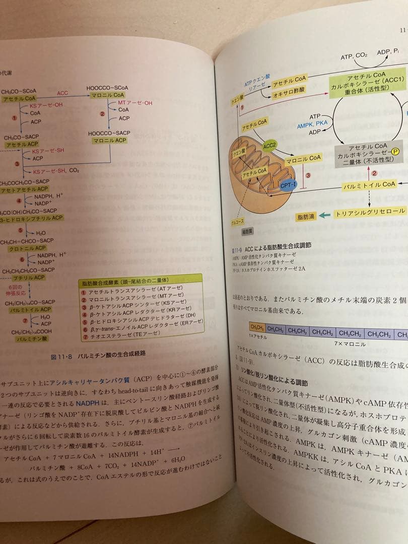 河合塾KALS医学部学士編入　全科目基礎・完成・実戦コース　計20冊とおまけ付き