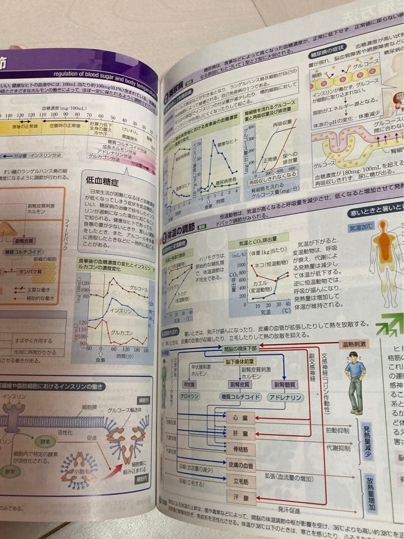 河合塾KALS医学部学士編入　全科目基礎・完成・実戦コース　計20冊とおまけ付き