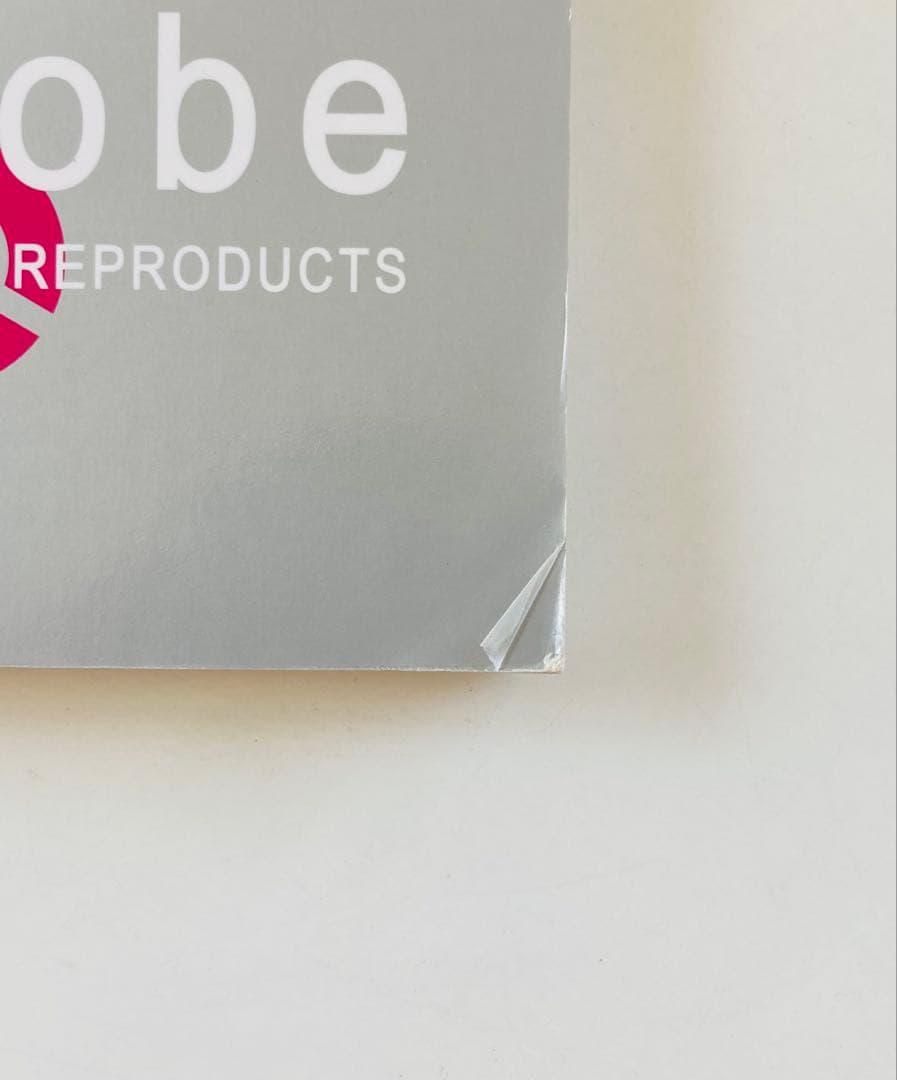 globe バンドスコア FIRST REPRODUCTS 希少