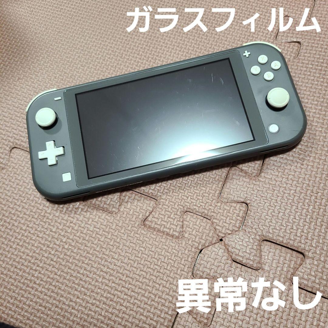 Nintendo Switch Lite グレー 1197.