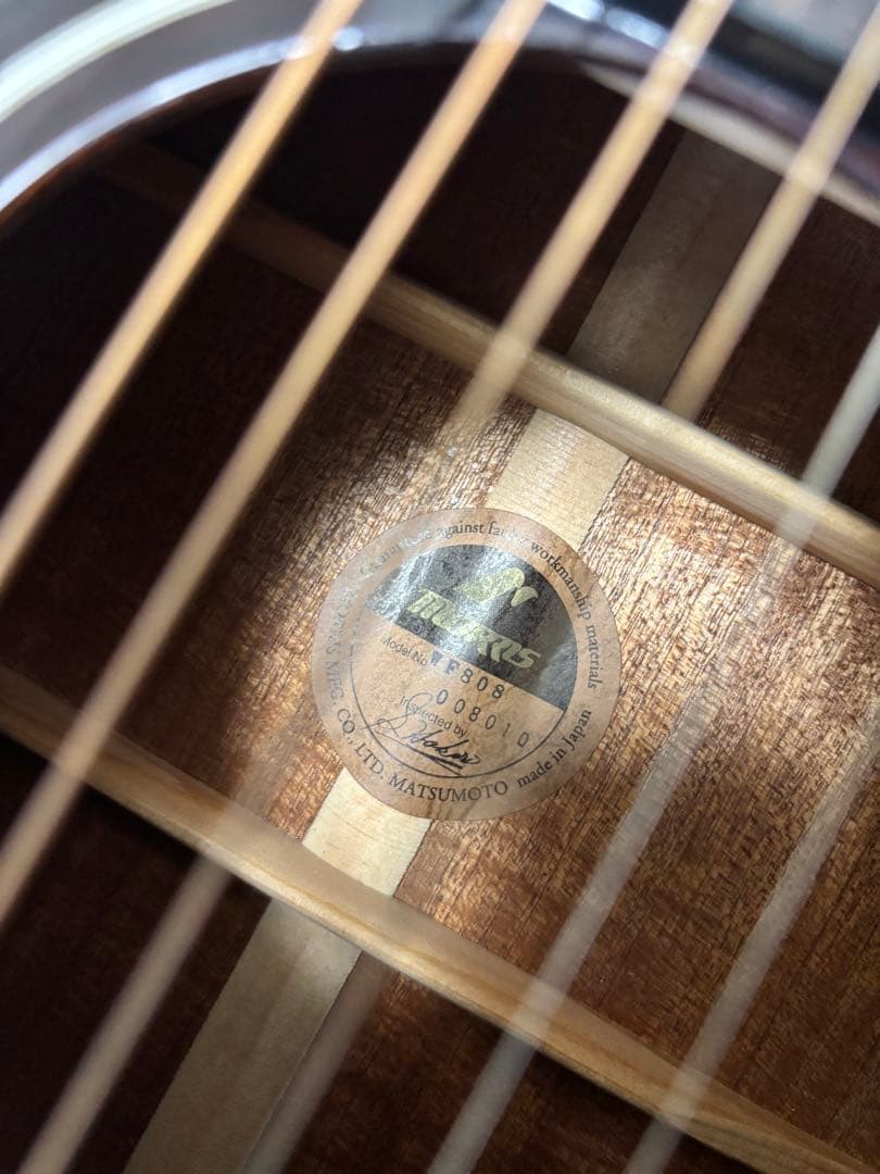 Morris アコースティックギター WF808