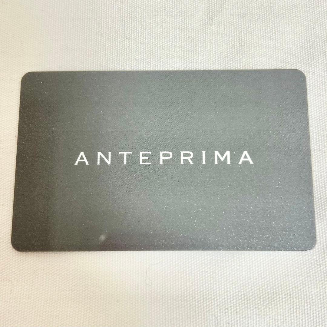 アンテプリマ　ワイヤーバッグ　リボン　3way　編み込み　シルバー