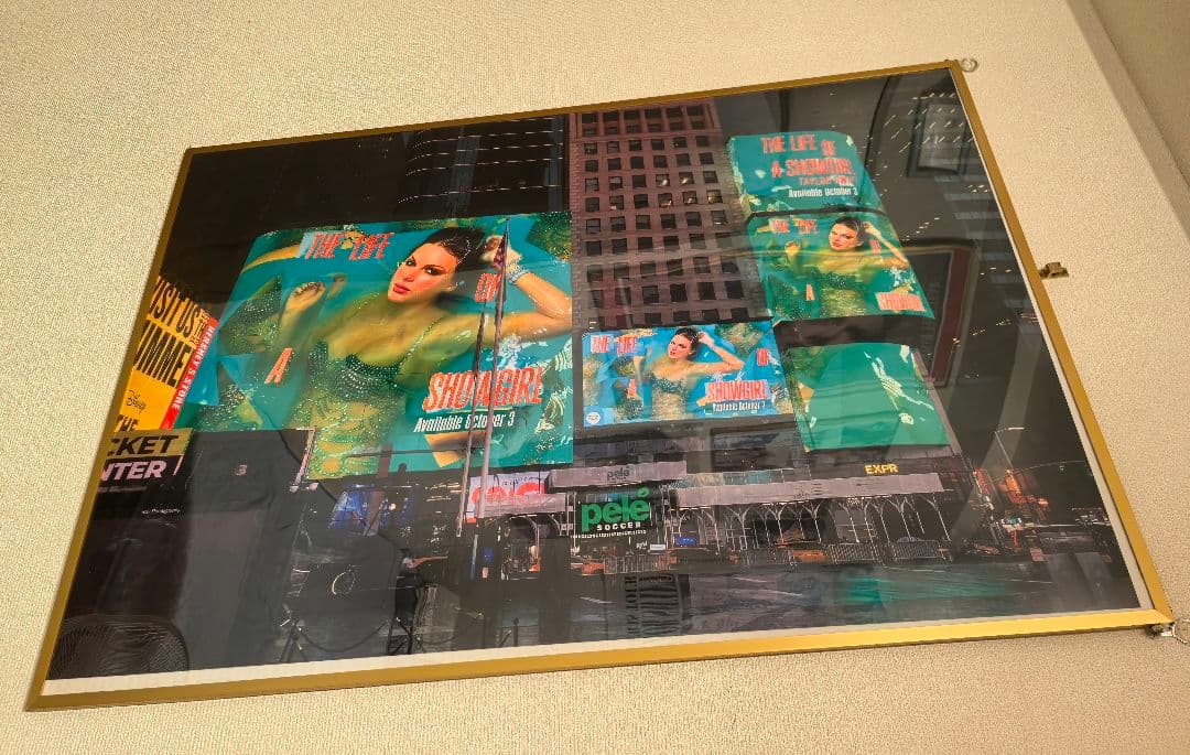 ミュージシャン \"The Life of a Showgirl\" in Times Square