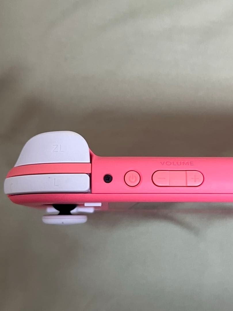 Nintendo switch Lite-しずえアロハ柄-