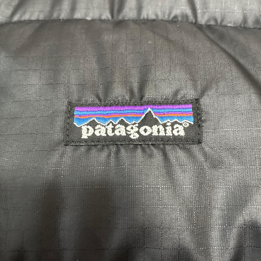 patagonia インサレーショングースダウン