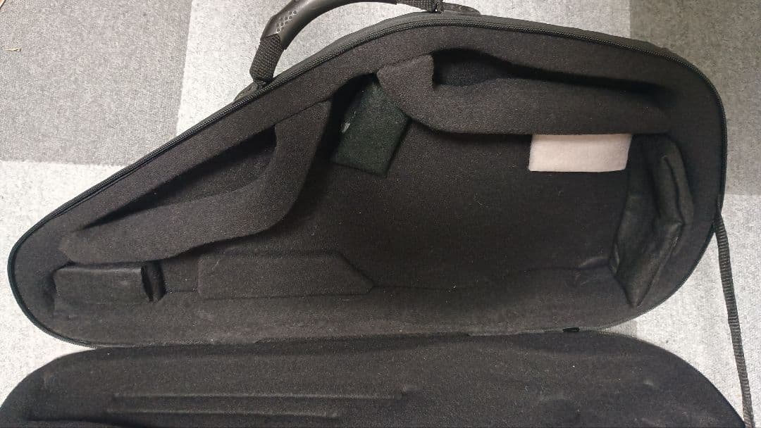 bags バッグス EFAS Fiber アルトサックスケース
