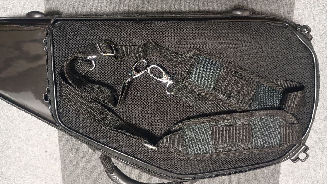 bags バッグス EFAS Fiber アルトサックスケース