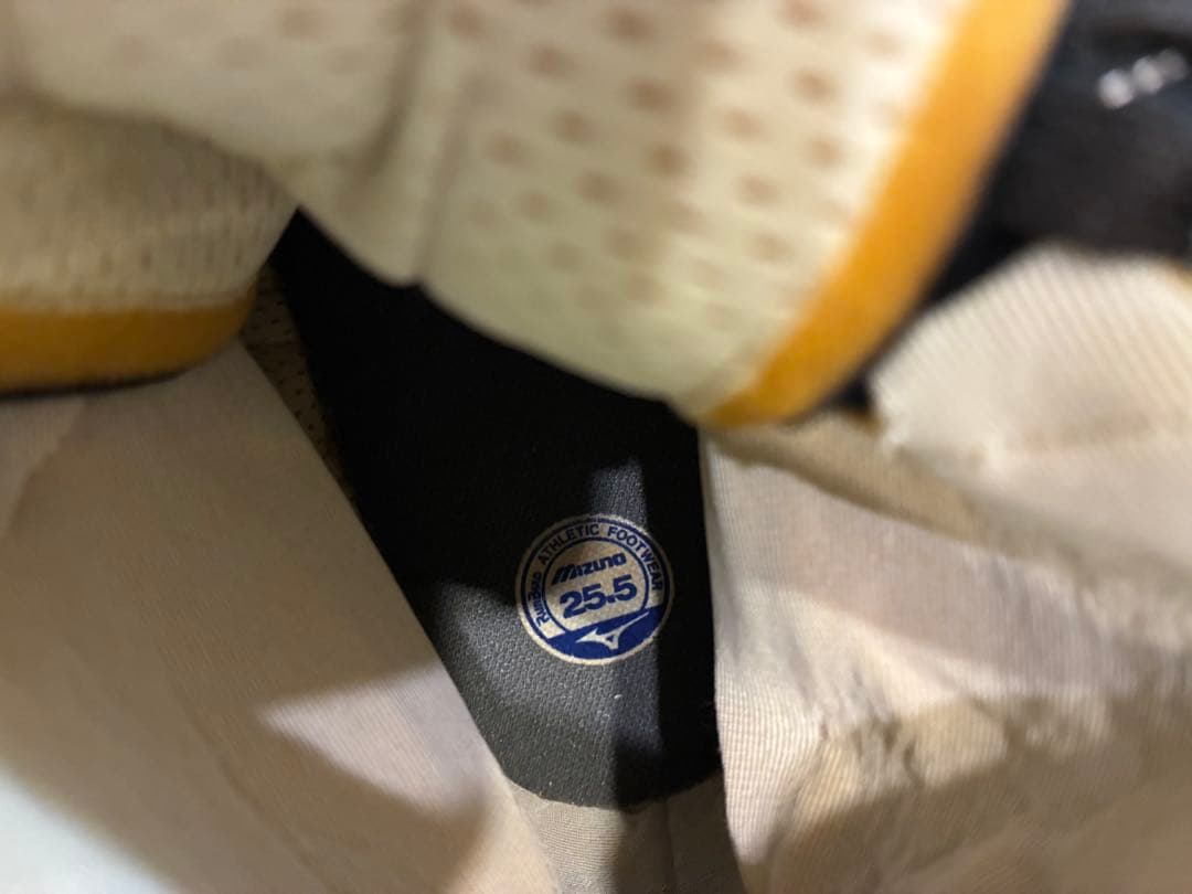 Mizuno ボクシングシューズ 黒/金 ハイカット