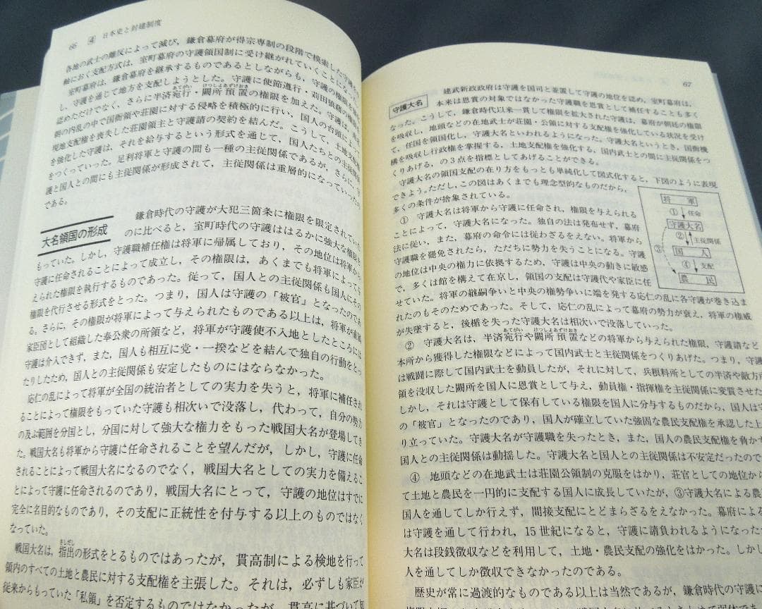 【絶版・入手困難な学参】日本史講義１～３（安藤達朗）駿台文庫