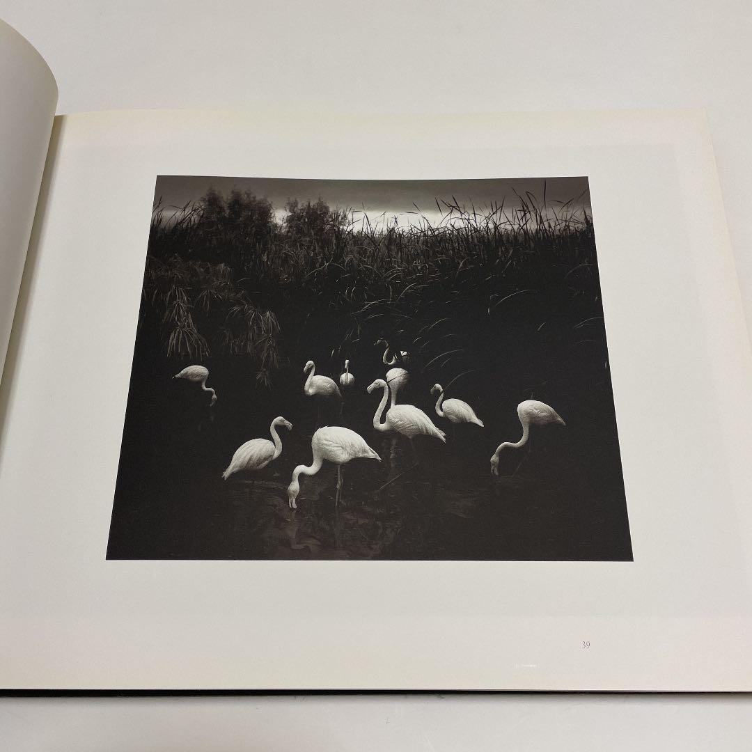 アート・デザイン・音楽 here far away / pentti sammallahti
