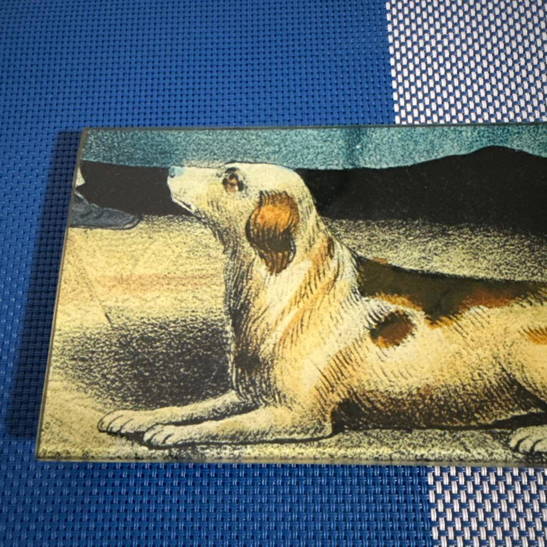 祝日sale⭐︎John Derian ジョンデリアン デコパージュプレート