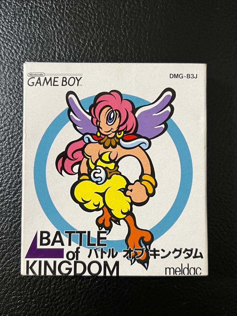 希少　バトルオブキングダム　箱あり　ゲームボーイ