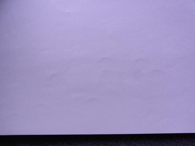 未使用品　非売品　ポスター　真・女神転生デビルチルドレン　ゲームボーイアドバンス