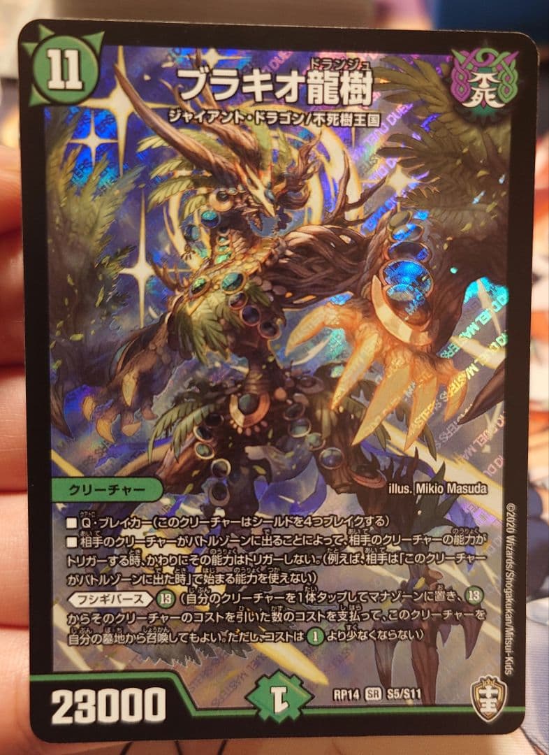 ブラキオ龍樹 初期 2枚セット