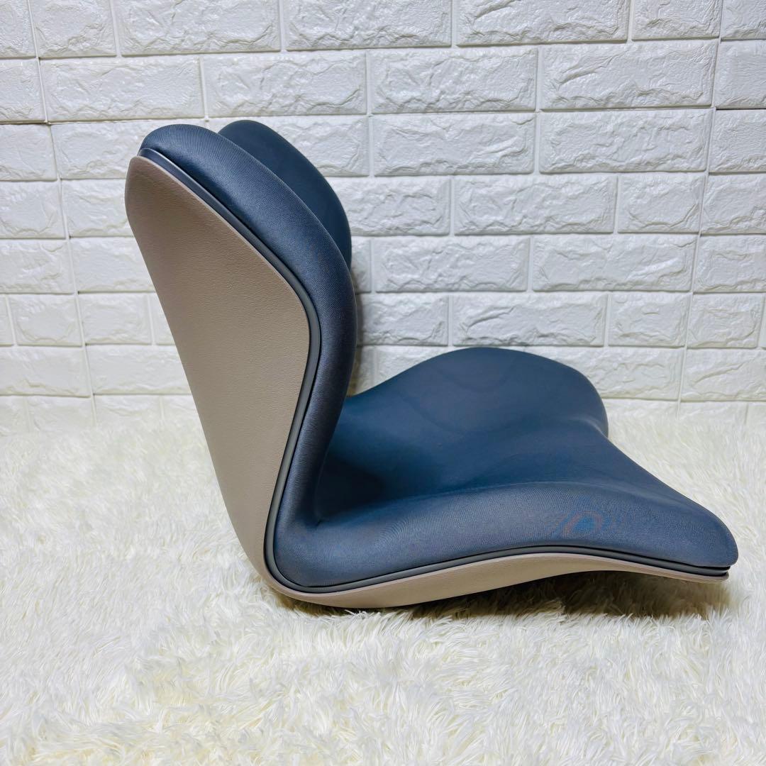 Style PREMIUM スタイル プレミアム【グレー】