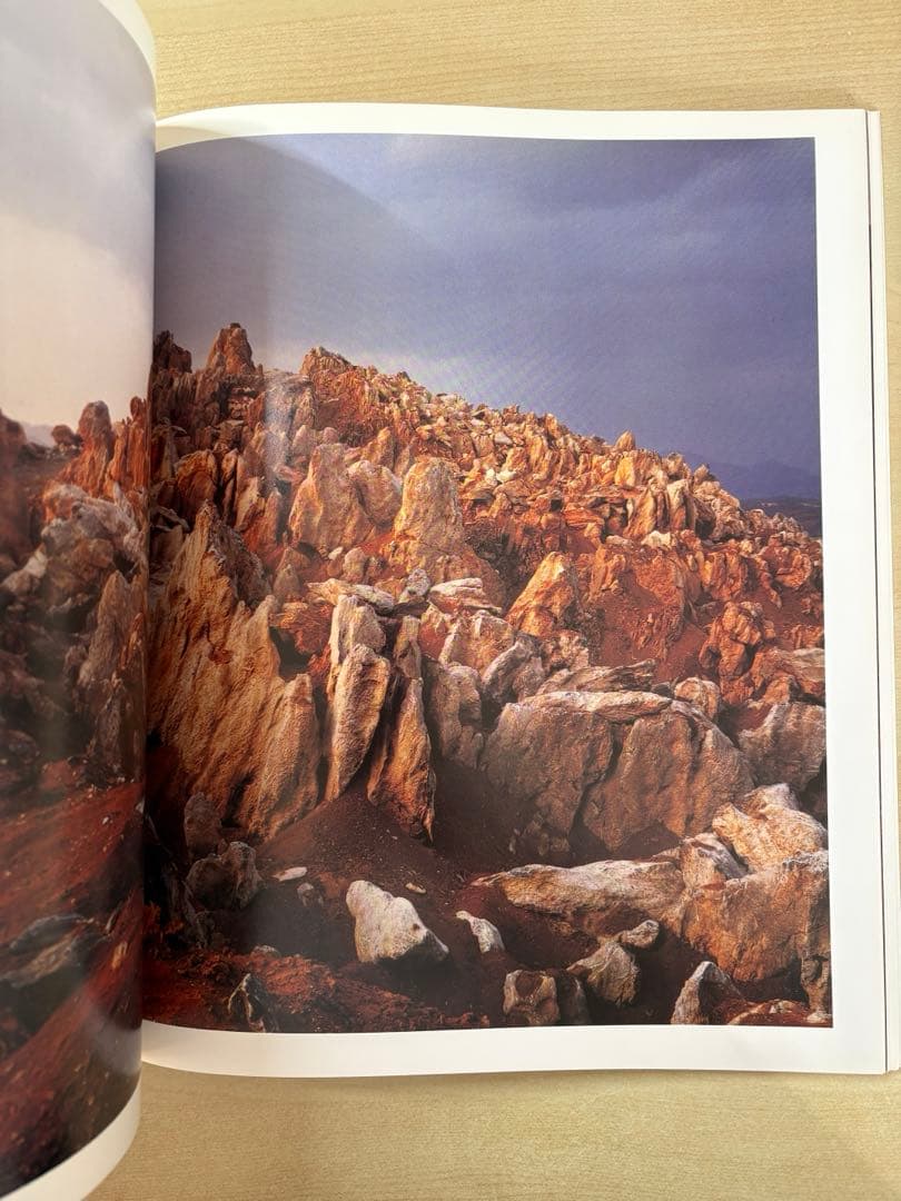 畠山 直哉　LIME WORKS