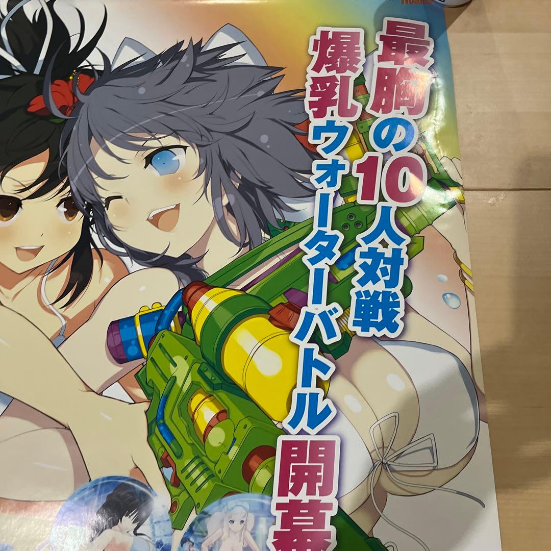 PS4 閃乱 カグラ ６非売品ゲームポスター