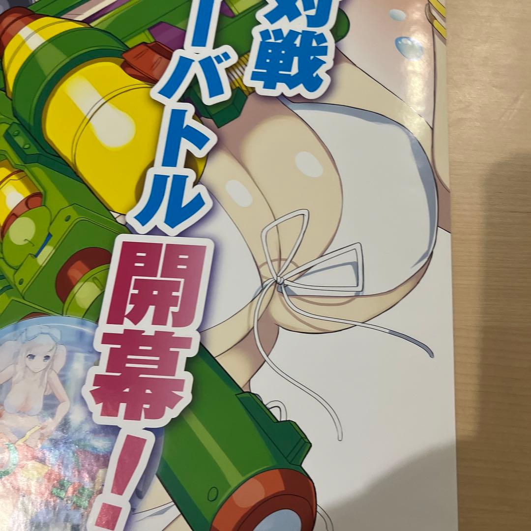 PS4 閃乱 カグラ ６非売品ゲームポスター