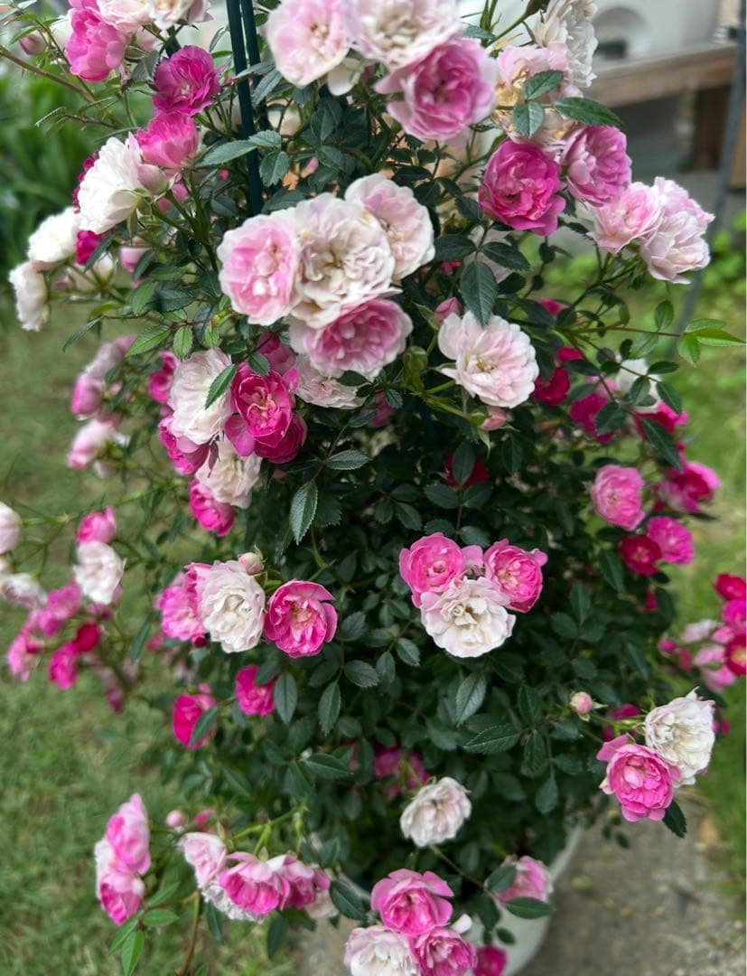 専用ステンドグラスパネル