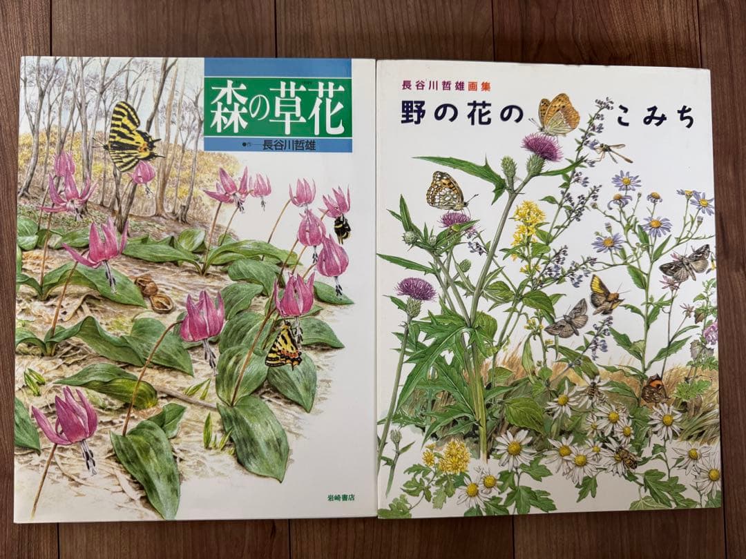 岩崎書店　絵本図鑑シリーズ　全３１巻