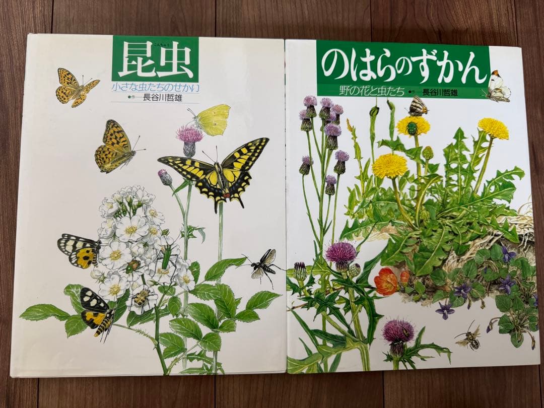 岩崎書店　絵本図鑑シリーズ　全３１巻